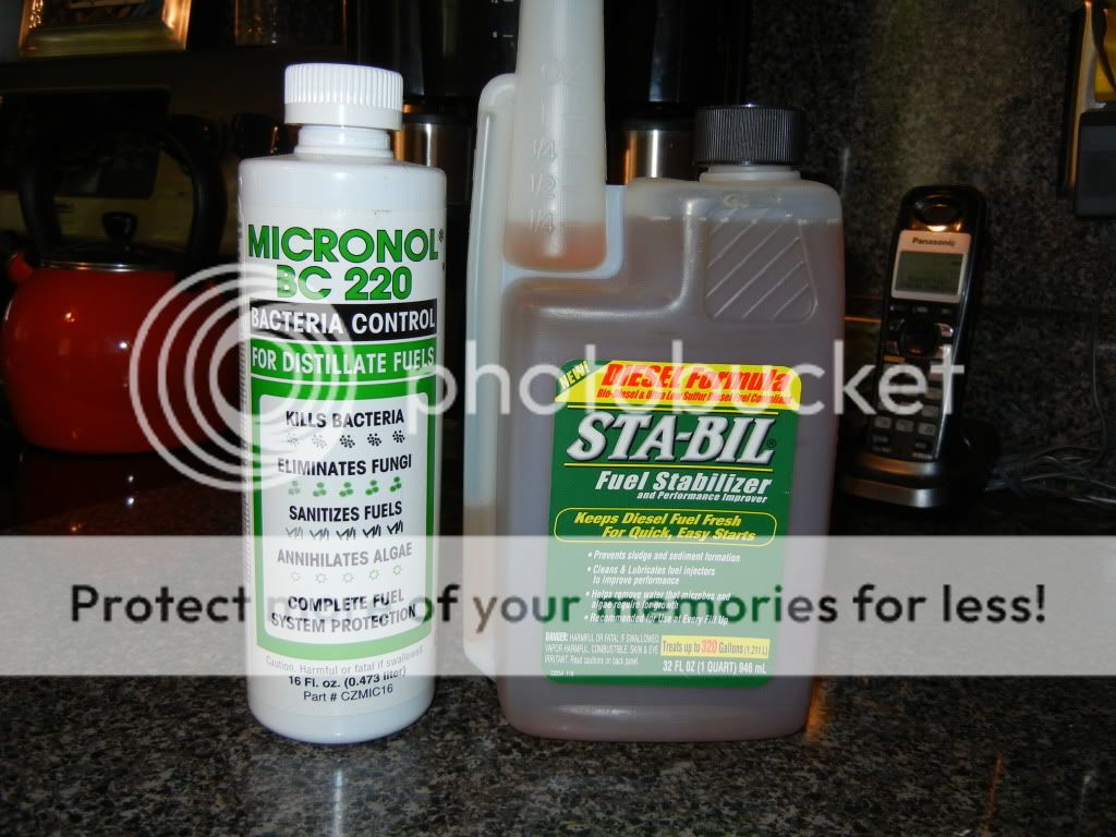 Algae In Diesel Fuel Jonesgruel